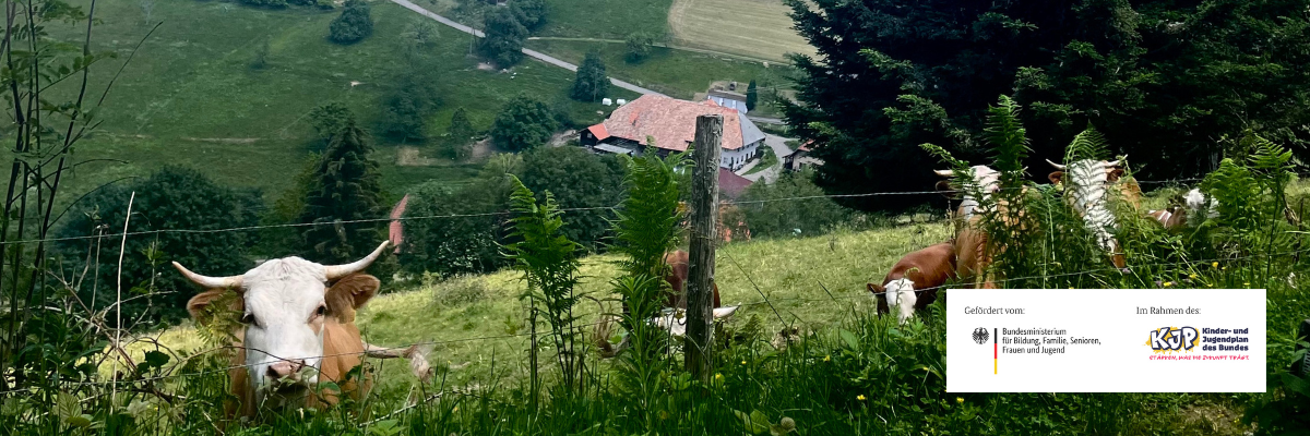 Black Forest Pastures – Neuenweg, Kleines Wiesental 